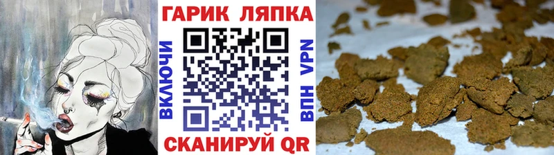Купить  Талдом  ГАШ гарик 